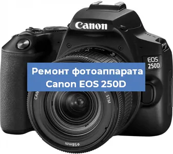 Замена линзы на фотоаппарате Canon EOS 250D в Самаре